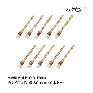 nPs ڒn p  ܋Ȏ iC 30mm 10{Zbg b  nP rV[g pCv X[g  ܂Ƃߔ Zbg