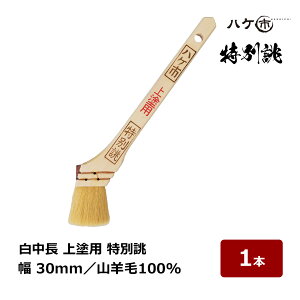  nPs  hp o Rr 100% 10 30mm 1{ 113210bhp nP yCgp  yL