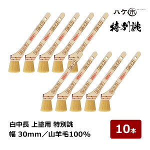  nPs  hp o Rr 100% 10 30mm 10{ 113210bhp nP yCgp  yL