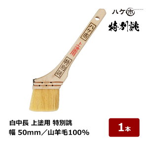  nPs  hp o Rr 100% 20 50mm 1{ 113220bhp nP yCgp  yL