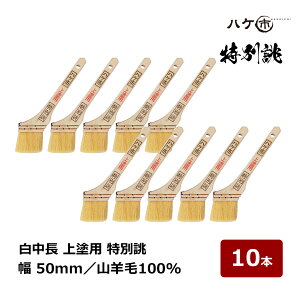  nPs  hp o Rr 100% 20 50mm 10{ 113220bhp nP yCgp  yL