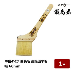    ōi M 100% 25  60mm 1{bhp nP yCgp  yL 120525 nPs