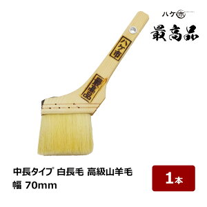    ōi M 100% 30  70mm 1{bhp nP yCgp  yL 120530 nPs