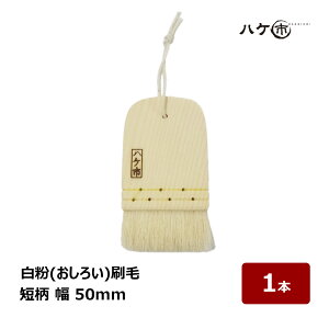  nP  낢 Z 50mmbϓ M uV 낢 W |  CNuV  pϕi h[ ǂ