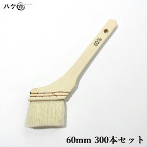 _Zbg^ nPs  nP   jX 60mm 300{