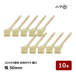 bNX Rr TN 20  50mm 10{b艏EzEוhɍœKbDIY p  nP ͂ nPs