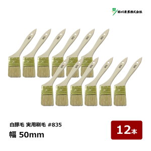 DY  ؖ p #835 2C` 20  50mm 12{ b 14173 }V nP ͂ ؕ \  h