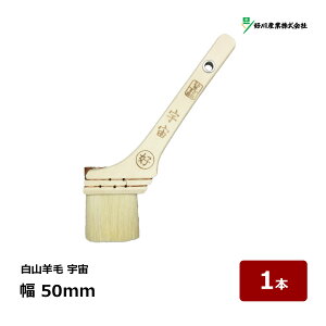 DY  zp Rr F 20  50mm 1{ }V nP ͂ 