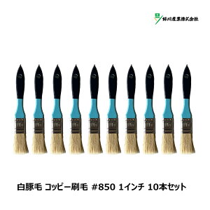 DY  ؖ Rbs[ #850 1C` 10{Zbg Y15641 b }V  nP uV X^[ _X^[ || | | 