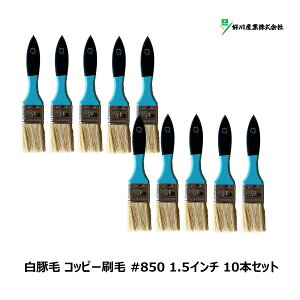 DY  ؖ Rbs[ #850 1.5C` 10{Zbg Y15642 b }V  nP uV X^[ _X^[ || | | 