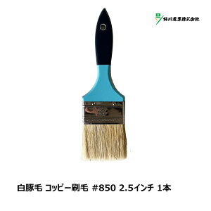DY  ؖ Rbs[ #850 2.5C` 1{ Y15644 b }V  nP uV X^[ _X^[ | || | | 