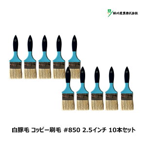 DY  ؖ Rbs[ #850 2.5C` 10{Zbg Y15644 b }V  nP uV X^[ _X^[ || | | 