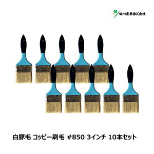 DY  ؖ Rbs[ #850 3C` 10{Zbg Y15645 b }V  nP uV X^[ _X^[ || | | 