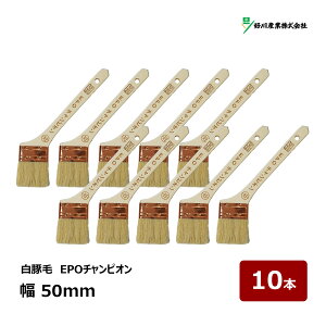 DY  EPO`sI 20  50mm 10{Zbg b 11795 }V nP ͂ ؕ zp  ؖ Oh etB[