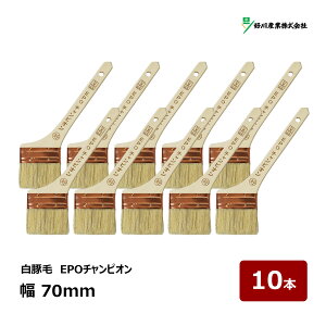 DY  EPO`sI 30  70mm 10{Zbg b 11797 }V nP ͂ ؕ zp  ؖ Oh etB[