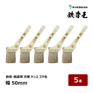 DY  V X S 20  50mm 5{Zbg b 12965 }V nP ͂ ؕ S  Rr n  S}