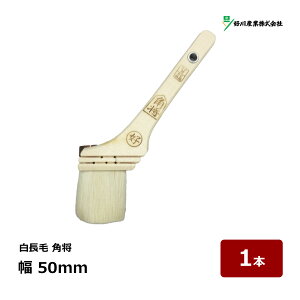 DY  p 20  50mm 1{ b 10933 }V nP ͂ ؕ zp  jX bJ[ WFh