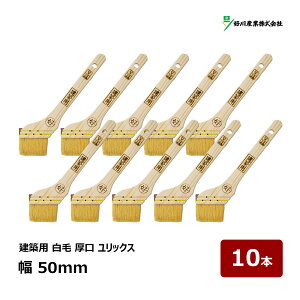 DY  zp bNX 20  50mm 10{Zbg b 11035 }V nP ͂ ؕ  _ Rr M  g TbV