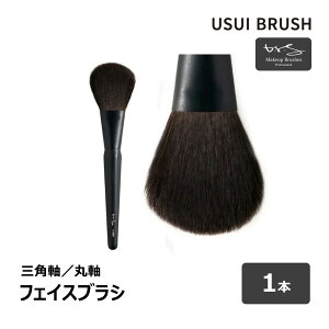 USUI BRUSH CNuV b-r-s u[V tFCXuV я 50mm S 198mm S2 Op ێ 1{ b CNAbv  DX M