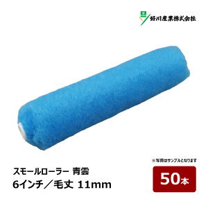 DY _ X[[[ 6C` я 11mm 50{byCg[[ D dグp tbfh hp h yL 021644