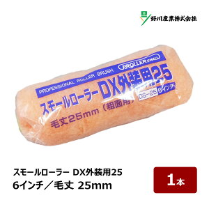 DY DXOp25 X[[[ 6C` я 25mm 1{b O yCg[[ }V 021896