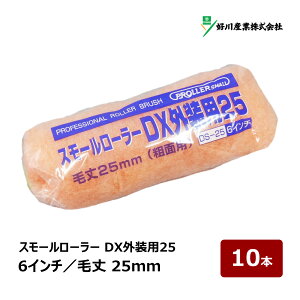 �D��Y�� DX�O���p25 �X���[�����[���[ 6�C���` �я� 25mm 10�{�b���� �O�� �y�C���g���[���[ �}�����V 021896