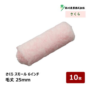 �D��Y�� ������ �X���[�����[���[ 6�C���` 25mm 10�{ �b ���[���[ ���A 21917 ���� DIY �h���p �y���L