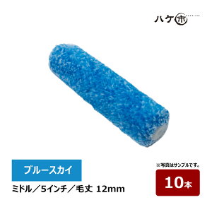 ނ u[XJC ~h[[ 5C` я 12mm 10{ A S Sxh  E^ AN ю~ ނ[[ yCgp[[
