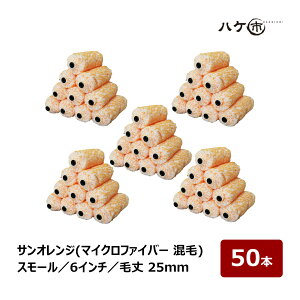 X[[[ a }CNt@Co[ TIW 6C` я 25mm 50{byCg[[ h  O  ܂Ƃߔ