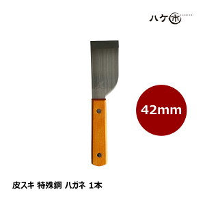 XL ؕ | 42mm 1{bnKl | yL͂ KƂ K͂  WJ V؂ nc P XN[p[ w