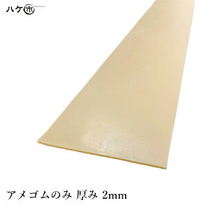 KOdグx S  TN AŜ 2mm 1 OK87041bobJ[ Ȃ炵obJ[ obJ[ wobJ[ w R[LO V[O  h