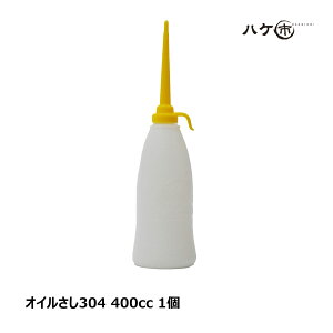 IC304 400cc 1 OK81111 b h e IC} ڒ hz