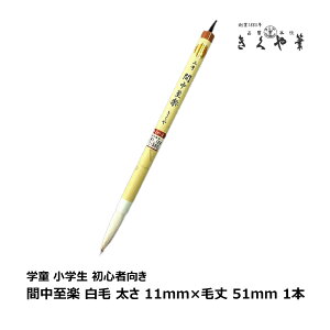 M{ Ԓy  11mm×я51mm ₩ 2-4 1{bM M  w w SҌ M K   bǐՉ\[