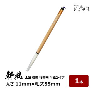 M M V 1{  11mm × я55mm ₩ n r n܂ݗǍD  s 2`4  pM 10-202 M{