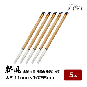 M M V 5{  11mm × я55mm ₩ n r n܂ݗǍD  s 2`4  pM 10-202 M{