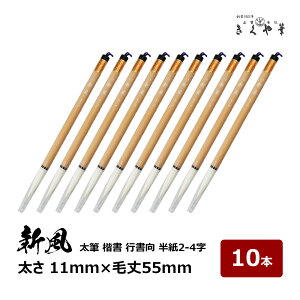 M M V 10{  11mm × я55mm ₩ n r n܂ݗǍD  s 2`4  pM 10-202 M{