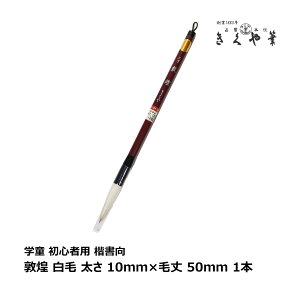 M{    10mm×я50mm ₩ 2-4 1{bM M  w w SҌ M K  ʁb[ ws