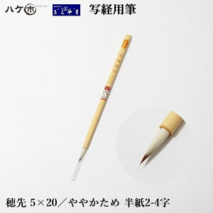 M{ M M וM ʌopM  5mm × я20mm ₩  2-4 | 20-109 1{ bs ws ǐՉ\[