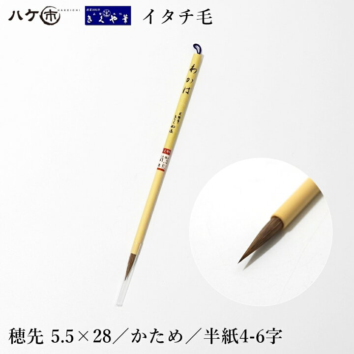 楽天市場】きくや筆本舗 書道筆 わかば 太さ 5mm×毛丈23mm かため 半紙 