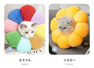 yzzGUxXJ[  ybgp pi Lp p _炩 y rߖh~ p ޖh~ ybgpi ^ ^ ^ Lp Em