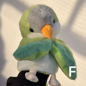 yzz20cm IE CR nhpybg ʂ TCY   l` ~jh[ 킢 ӂ V ct    v[g Mtg wj j 