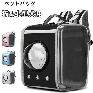 yzz܂肽݃ybgobO e JvZLbgobNpbN ^ ybg obO ybgpL[obO @@ybgobO Lp L jR  ybgpi 