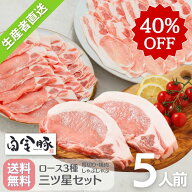 ＼40%OFF／春のロース・ヒレ祭り♪ 送料無料・冷蔵配送【 白金豚 ロース 三ツ星セット 5人前 カツ用 120g…