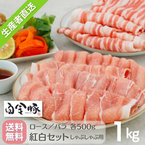 E①zy  Ԃԗp XCX g Zbg 1kg [X o e500g z Y 茧Y ؓ v`i|[N  uh  O Mtg 蕨 Ԋ