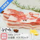 送料無料・冷凍配送【 白金豚 バラ ブロック 1kg 真空 500g 2パック 】国産 岩手県産 豚肉 プラチナポーク ブランド豚 お取り寄せ グルメ ギフト 贈り物 カルビ かたまり肉 角煮