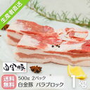 送料無料・冷蔵配送 【 白金豚 バラ ブロック 1kg 真空 500g 2パック 】 国産 岩手 花巻 豚肉 プラチナポーク ブランド豚 お取り寄せ グルメ カルビ かたまり肉 角煮 サムギョプサル チャンプルー パンチェッタ ポッサム リエット