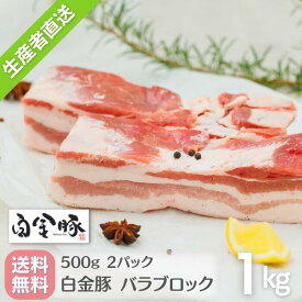 送料無料・冷蔵配送 【 白金豚 バラ ブロック 1kg 真空 500g 2パック 】 国産 岩手 花巻 豚肉 プラチナポーク ブランド豚 お取り寄せ グルメ カルビ かたまり肉 角煮 サムギョプサル チャンプルー パンチェッタ ポッサム リエット