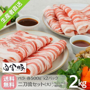 E①zy  񓁗Zbg () o 2kg Ԃԗp IĂp e500g 2pbN v 4pbN zY 茧Y ؓ v`i|[N uh  O Mt