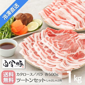 EⓀzy  o  J^[X c[gZbg 1kg Ԃԗp XCX e500g zY 茧Y ؓ v`i|[N uh  O Mtg Ԋ  