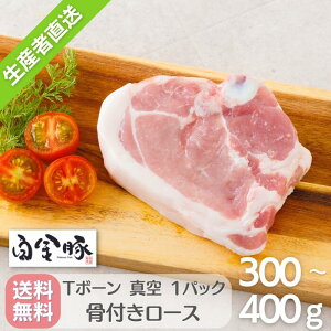 E①zy  T{[ 1 z Y 茧Y ؓ  uh v`i|[N t [X ܂  O Mtg 蕨 Ԋk Ԋ |[NXe